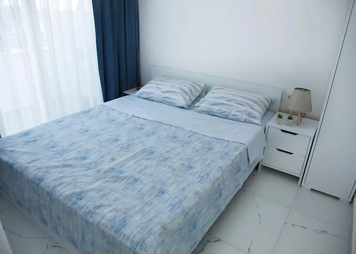 Art Life 阿拉尼亚